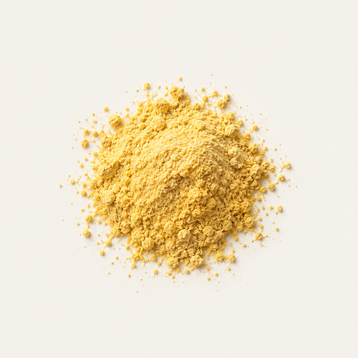 Yellow quercetin powder derived from Japanese pagoda tree
